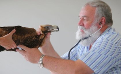 Eva and Associate Professor Bob Donely at the UQ Veterinary Medical Centre. Photo: Jamie Hanson, The Courier-Mail