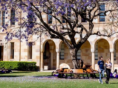 People walking past a jacaranda tree in front of a sandstone building