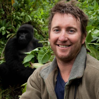 James Watson ... with a critically endangered mountain gorilla in east Africa. 