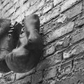 A black and white image of a pair of old leather boxing gloves hanging against a brick wall