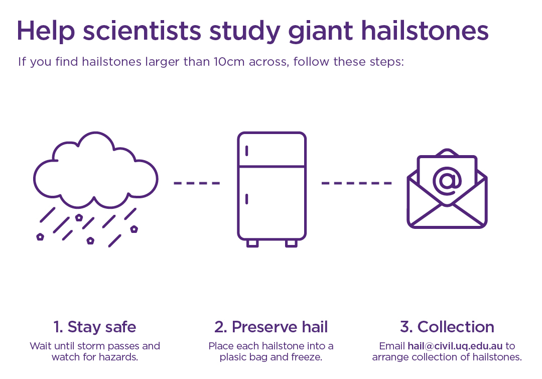 An infographic highlighting the three steps to help scientists study giant hailstones: 1. Wait until storm passes and watch for hazards. 2. Place each hailstone into a plasic bag and freeze. 3. Email hail@civil.uq.edu.au to arrange collection of hailstones.