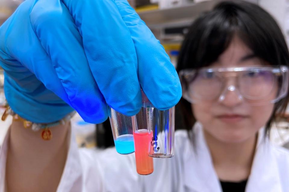 A researcher comparing light emitting technology samples in a lab.