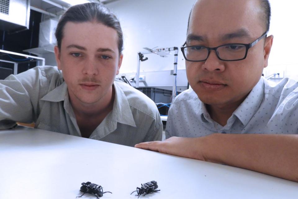 Two researchers examining microchip-equipped beetles.
