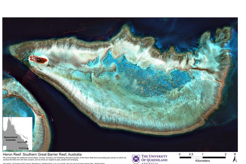 A satellite image of Heron Reef.
