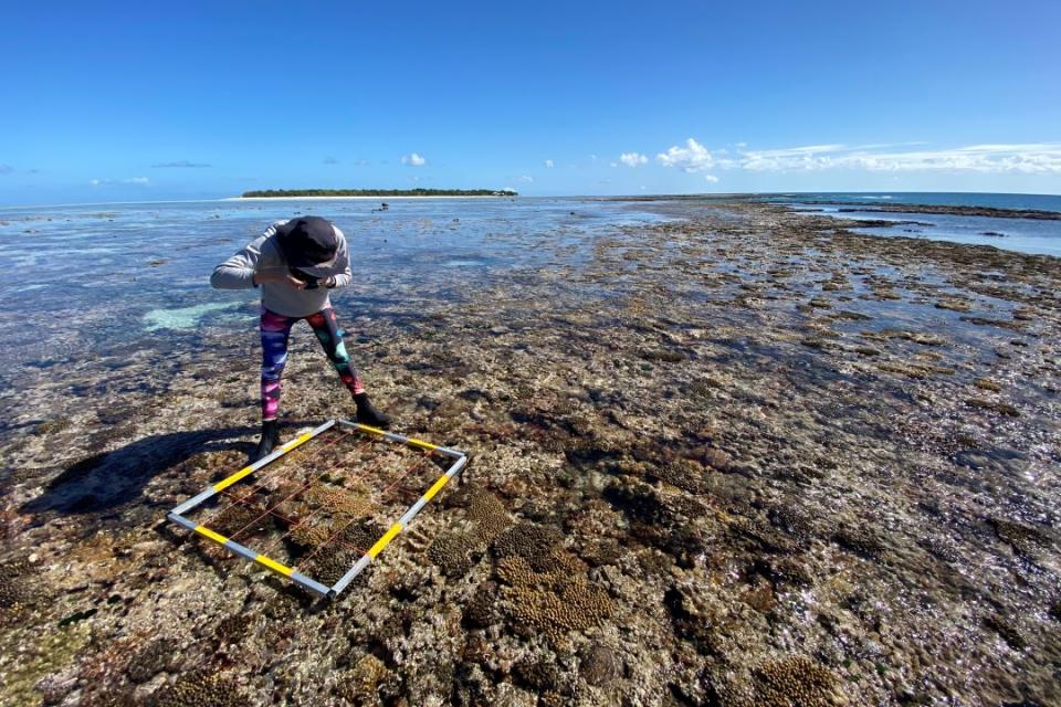 A person looking at rocks near the ocean. 