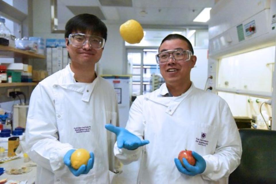 New technology can measure vitamin C content in fruit and vegetables