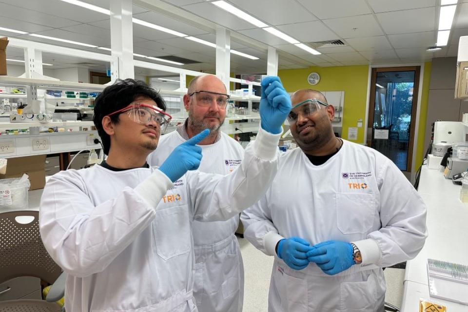 Three scientists in lab looking at slide.