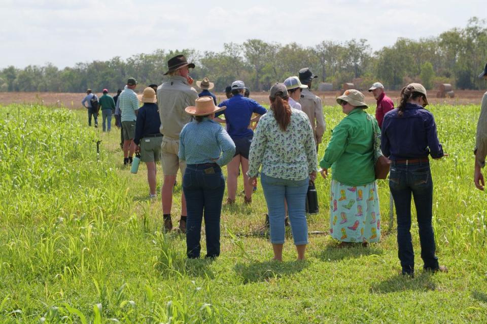 A group of people walking through a field