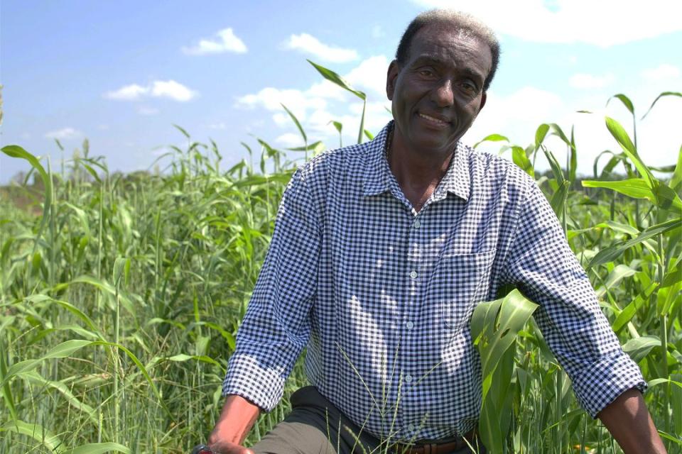 A man crouching down in a field of crop