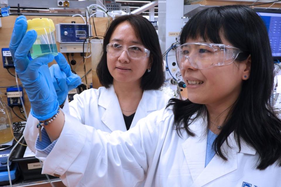 Wastewater treatment can be an unexpectedly high source of ammonia gas.  