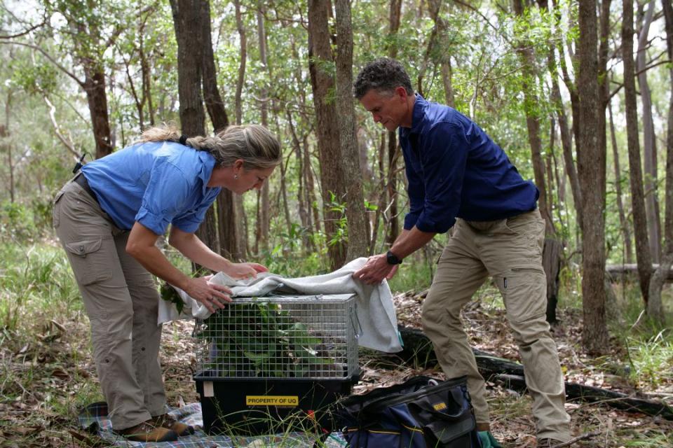 A woman and man manoeuvre a crate in bushland