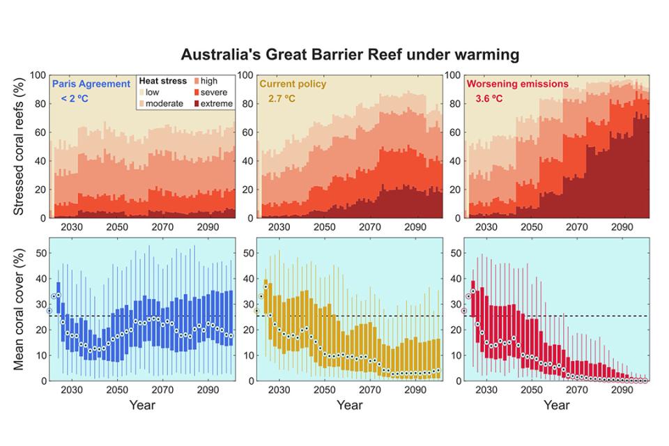 a series of graphs showing coral cover declining as temperatures increase 