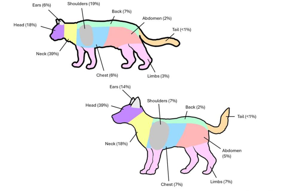 a graphic with coloured areas on drawings of a cat and a dog