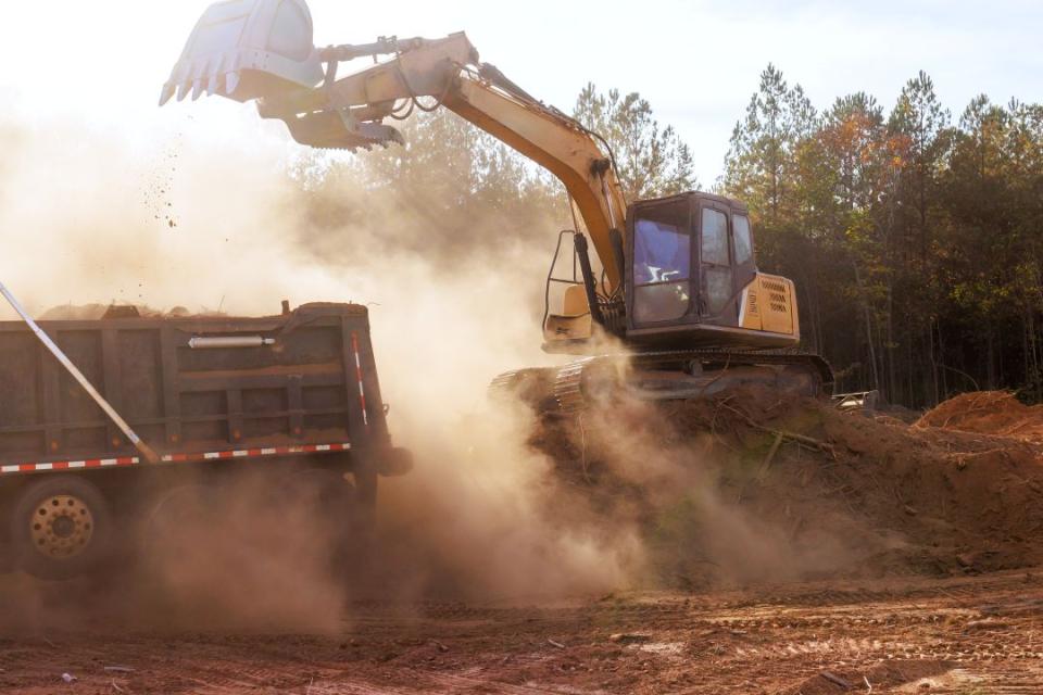 Biodiversity in mining