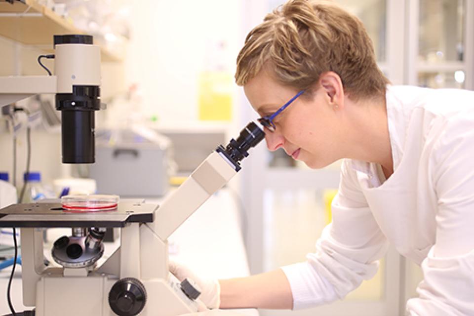 Associate Professor Kate Schroder discovered that inflammasomes normally work with an in-built timer switch when they activate the inflammation process.