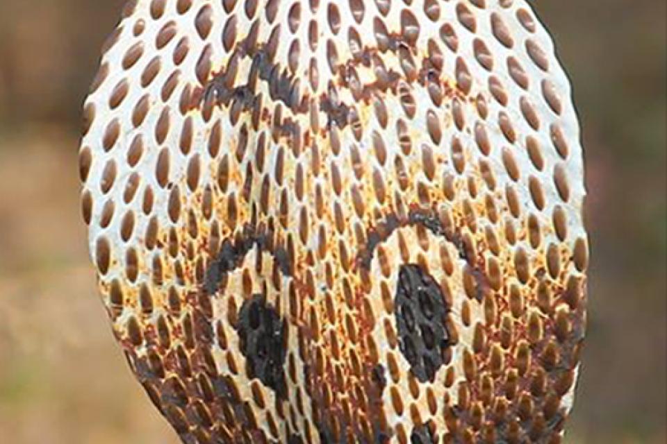 Decorative