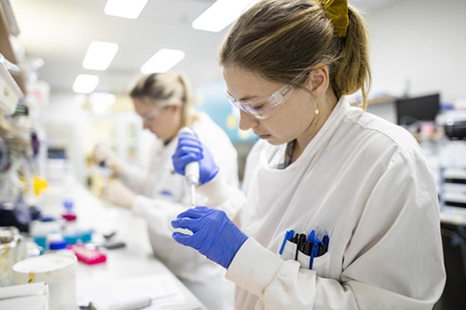 Two female researchers work at the lab bench as part of the vaccine project at UQ