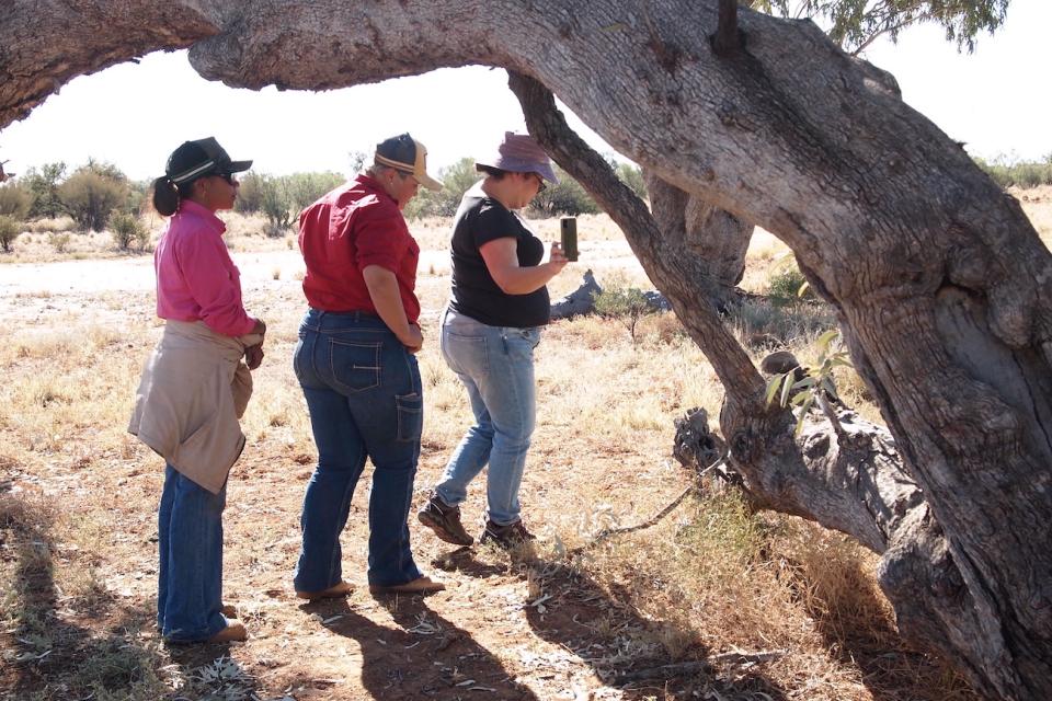A group of community rangers inspect a scar tree in an open field