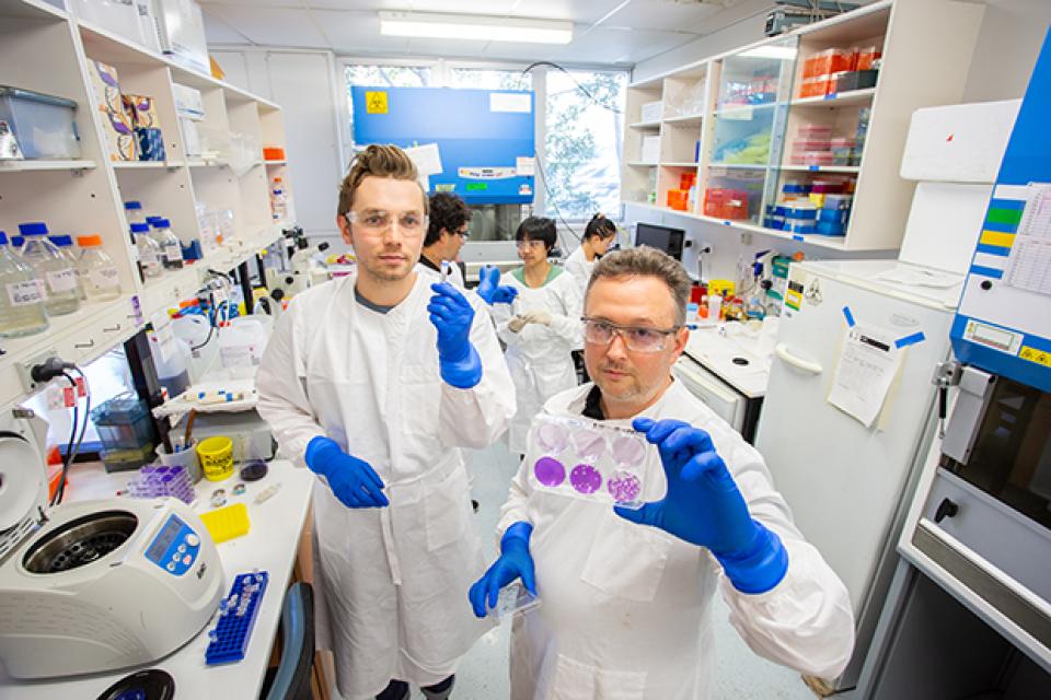Dr Christopher McMillan and Dr David Muller holding up testing equipment in the lab.