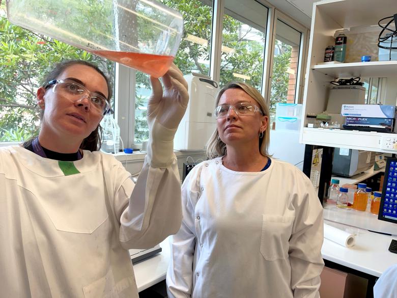 Researchers looking up at cells in a container.