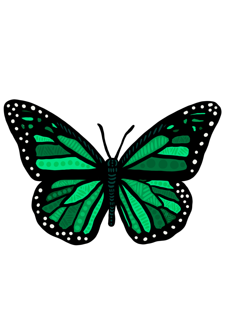 The butterfly symbolises the transformation required to guide children away from detention practices through culturally responsive diversion programs. Wagiman artist, Tara-Rose Gonebale.