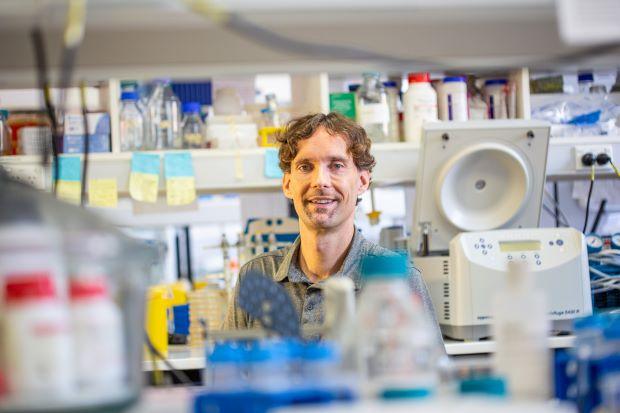 A male scientist in a laboratory.