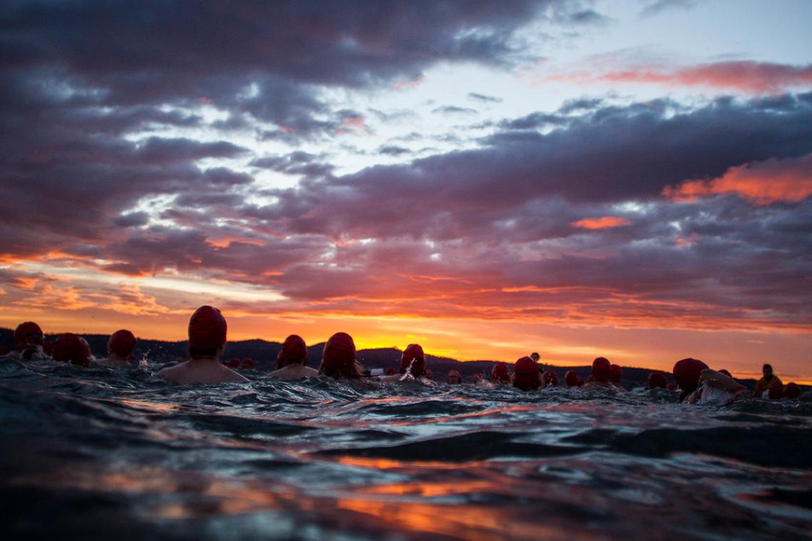 The ocean at dawn, with swimmers in bathing caps silhouetted against a pink and orange cloudy sunrise.