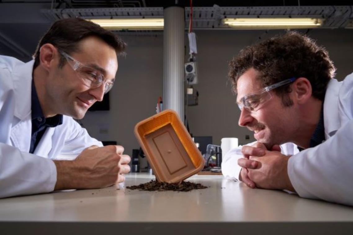 Two researchers in lab coats leaning towards a punnet standing on its side