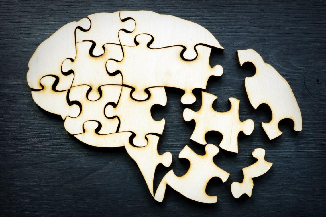 A puzzle of the human brain with incomplete pieces.