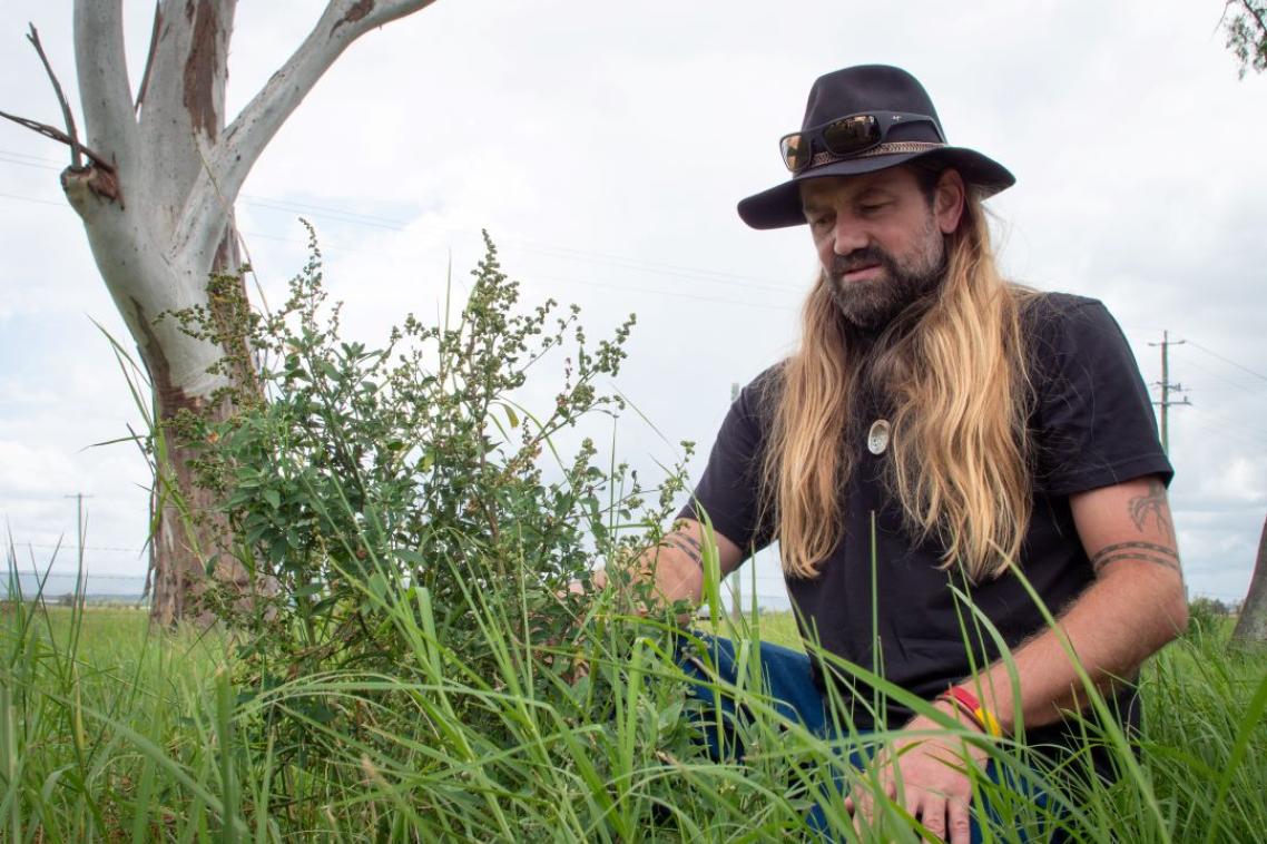 A bearded man with long blond hair bending down to look at long grass. 
