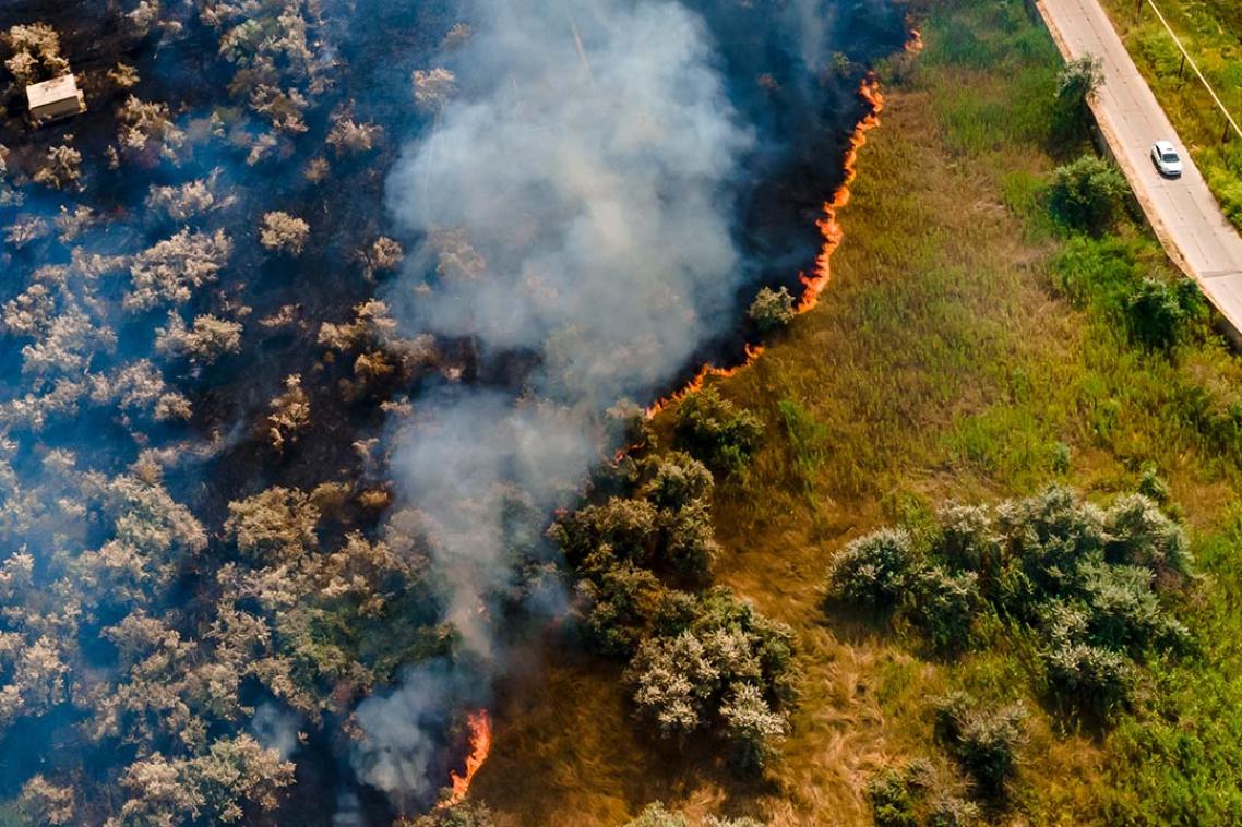 A burning forest on one side of the image, on the other, a car driving down a long road