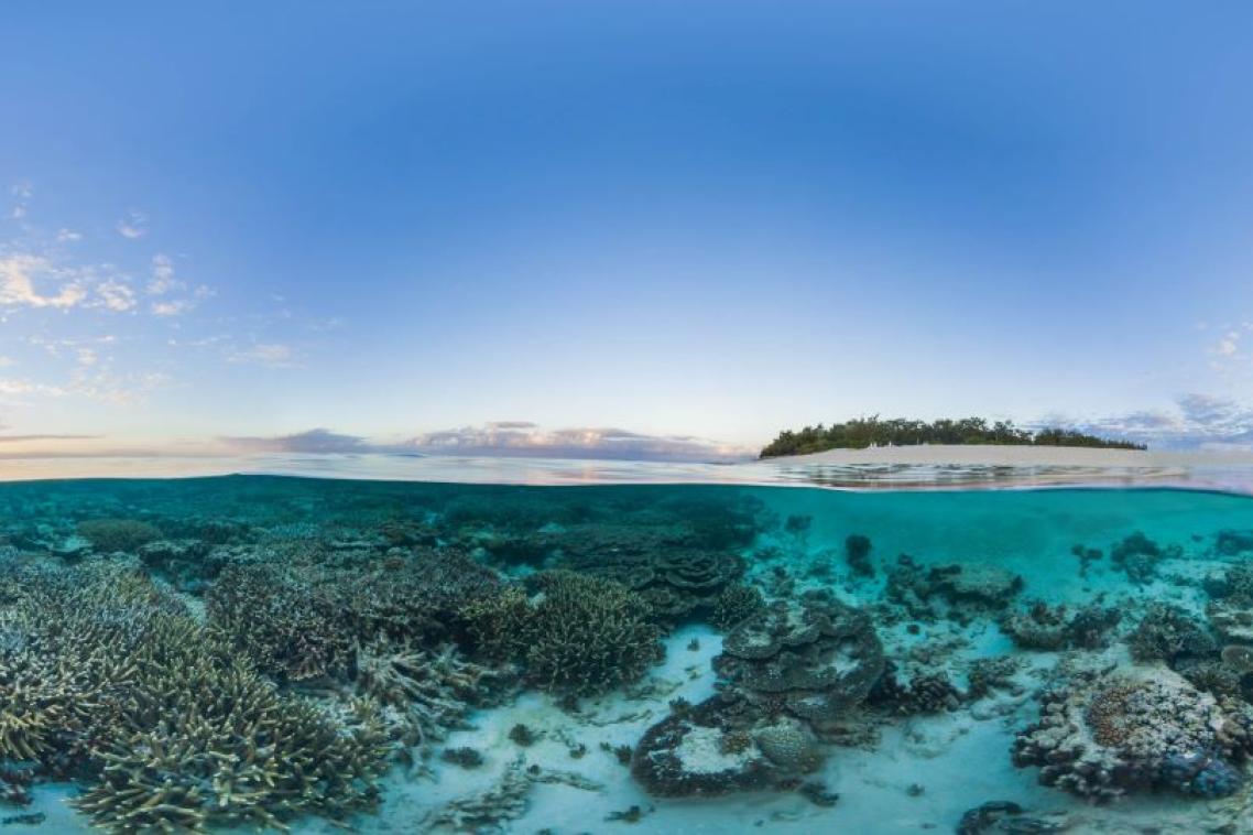 Wilson Island in the Great Barrier Reef