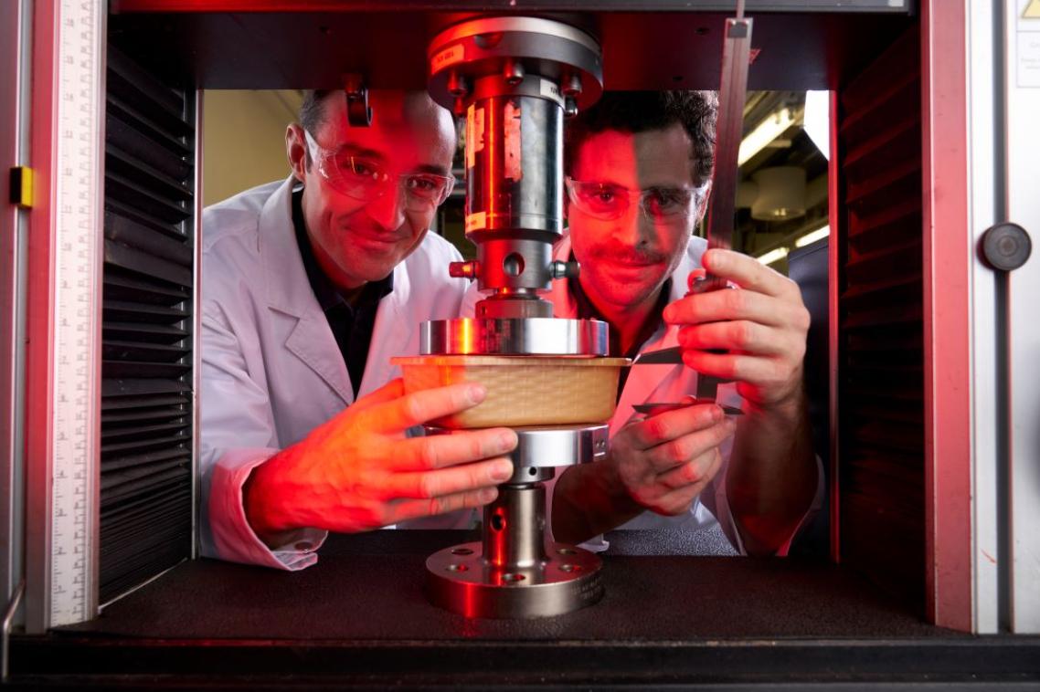 Two researchers with their heads inside a machine, clamping down a strawberry punnet
