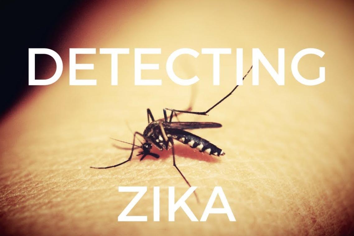Closeup of a mosquito on skin with the words 'detecting Zika' overlaid