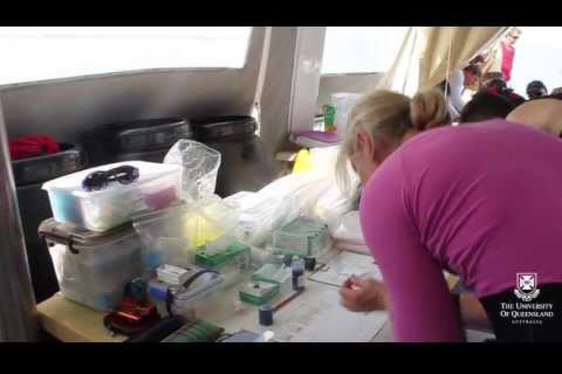 UQ researcher in a lab