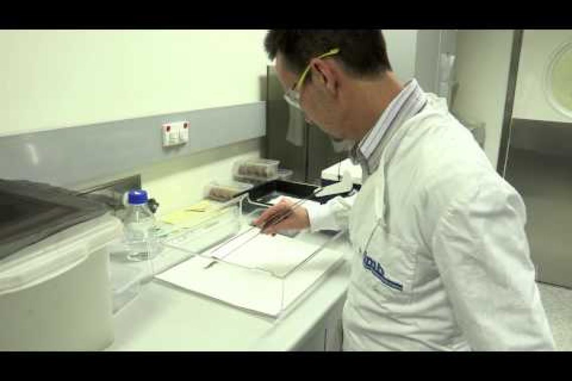 Professor Glenn King looking at a venom specimen