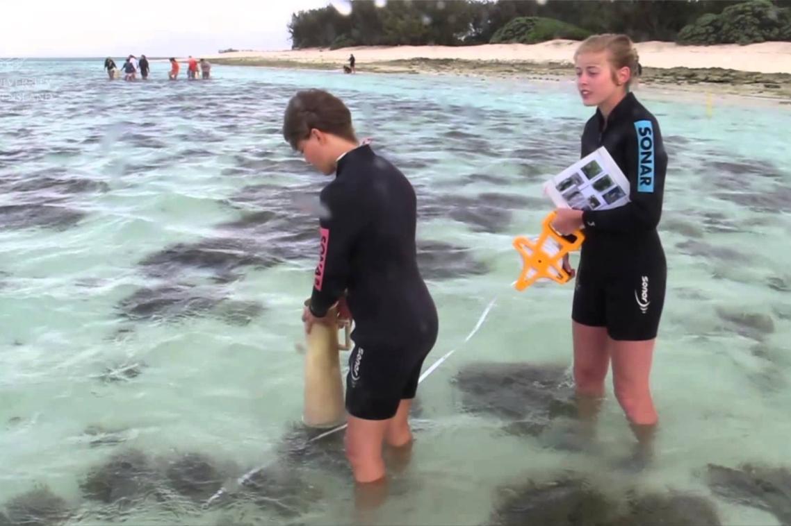Students at Heron Island research station