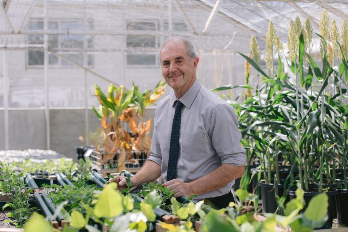 A man stands among plants in a greenhouse.