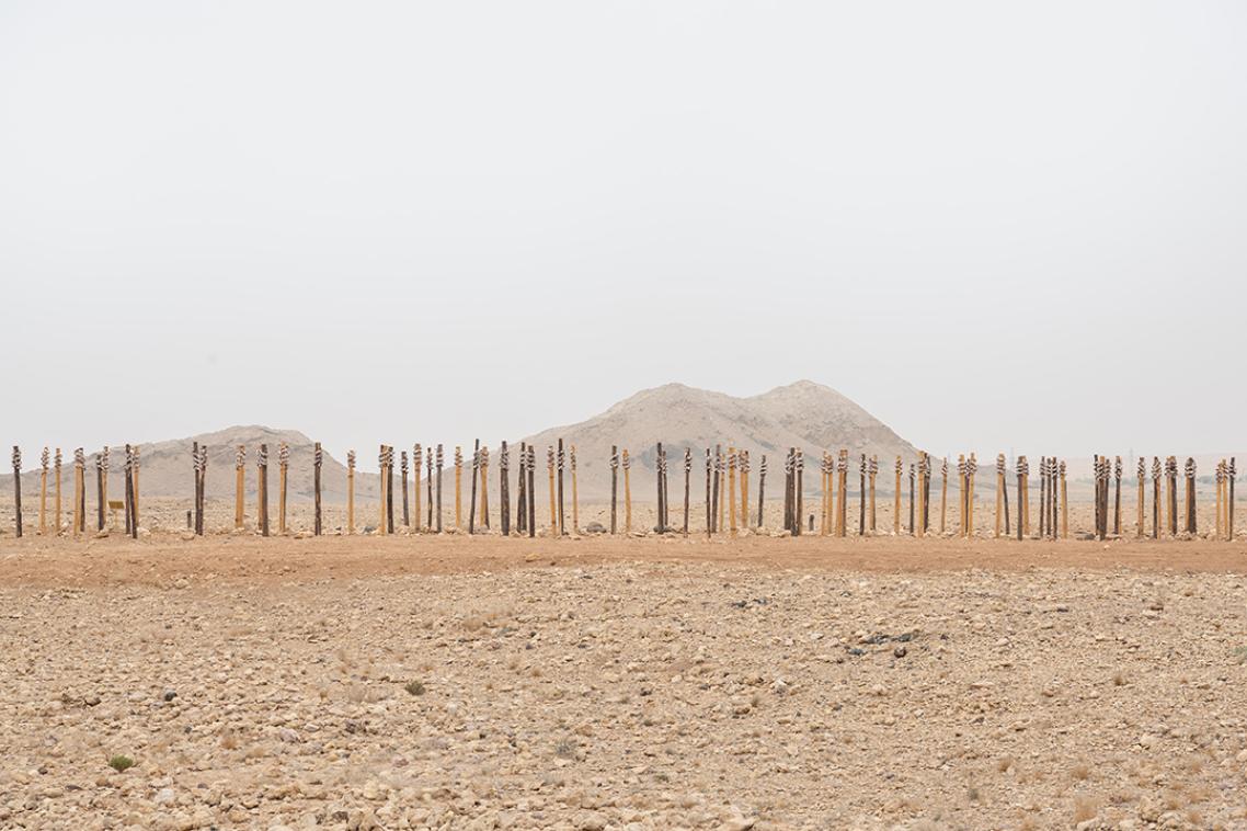 Tree trunks in a row covered in oysters shells
