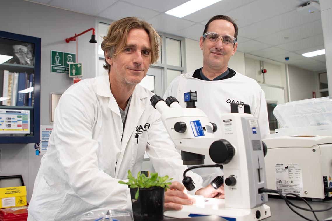 two men in white coats stand by a microscope with a light