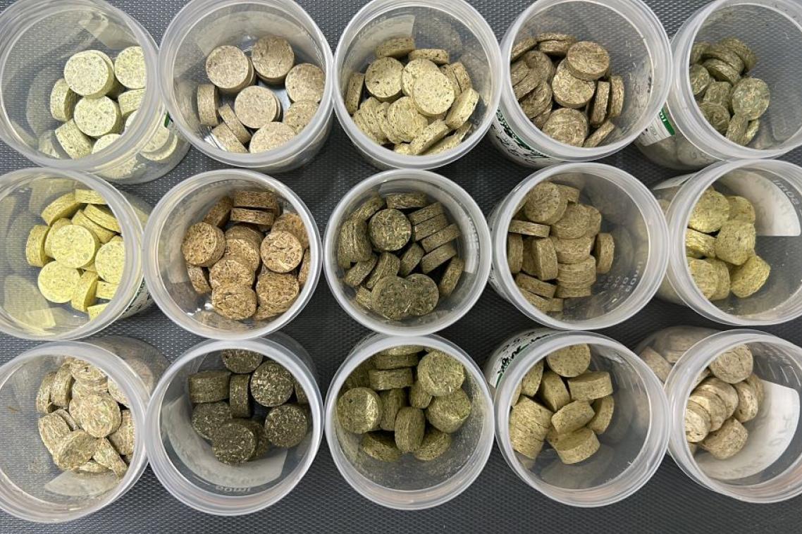15 small circular containers filled with tablet-like circular pellets