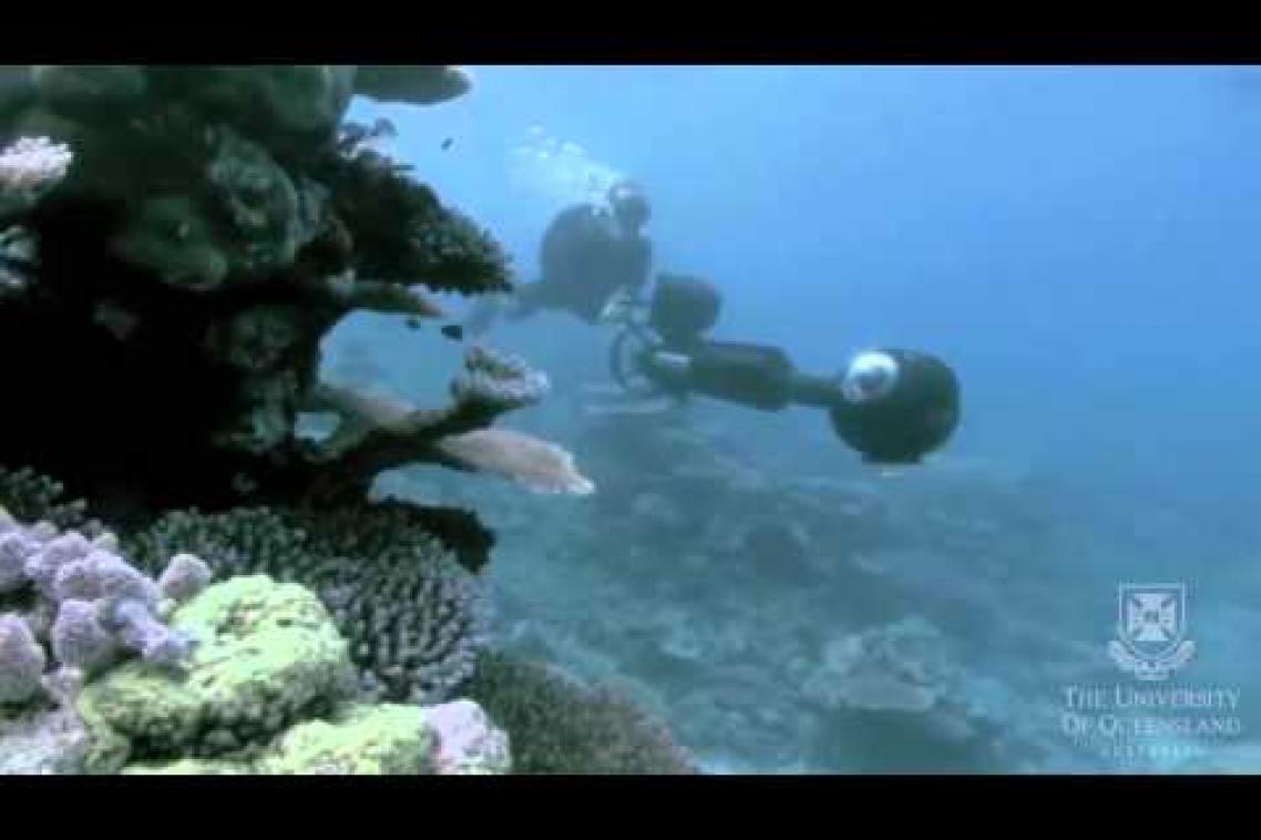 A diver with research equipment surveys a coral reef
