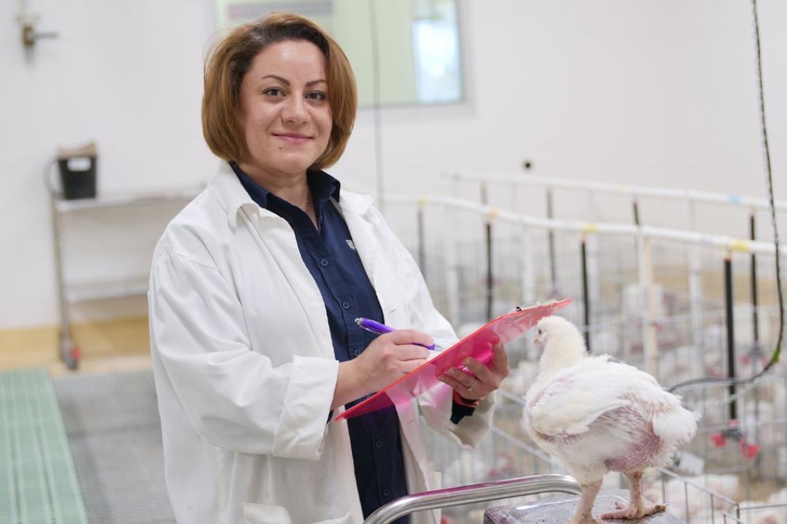 A woman wearing a white coat holding a clipboard stands near a chicken being weighed on scales