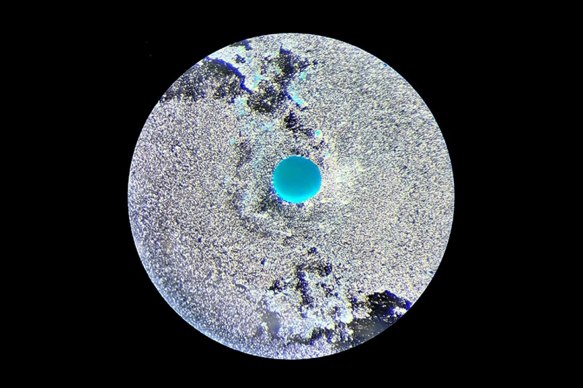 Like distant exoplanet of an unknown world, this image unveils the incredible regenerative potential of dental pulp stem cells.