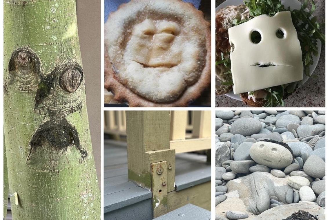 Photo collage of 5 images that show faces in things including a tree, pie, cheese, post and rock