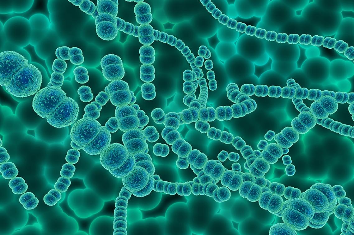 An illustration of Strep-A cells clumped together in strings, in blues and greens.