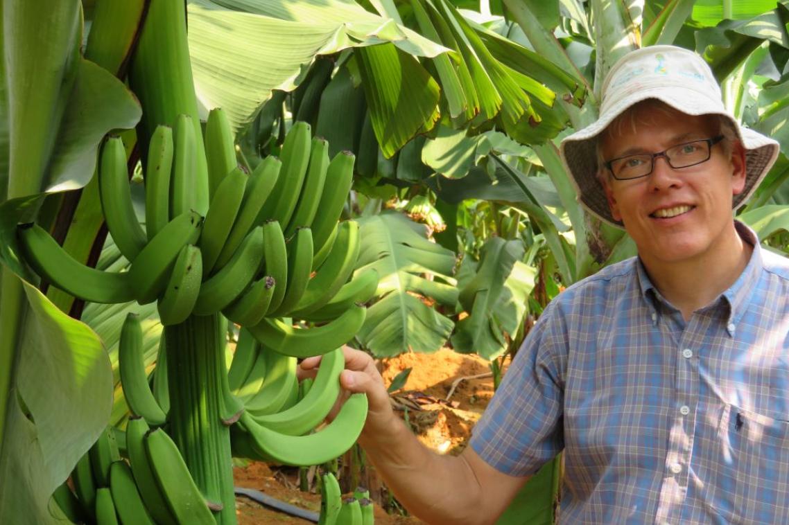 A man wearing a bucket hat and glasses stands next to a banana tree