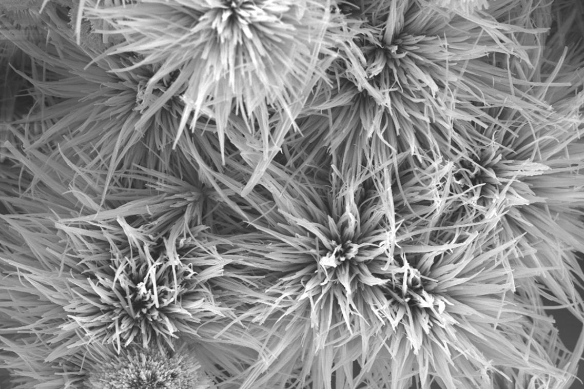 Sea anemone or metal organic framework? Hint: probably best this doesn’t go in the ocean
