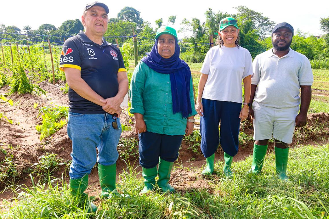 Four researchers standing in front of crops of yams smiling to camera. 