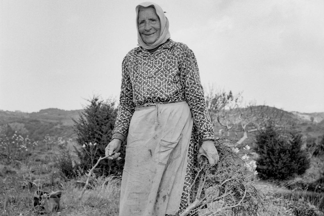 An older woman carrying branches while working in a field.